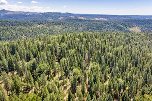 6420 Starkes Grade Rd, Pollock Pines, CA 95726 - Photo 38