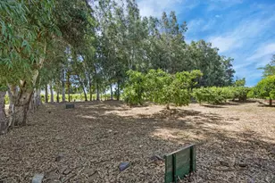 6632 E Acampo Rd, Acampo, CA 95220 - Photo 46