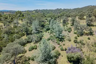 5912 Old Gulch Rd, San Andreas, CA 95249 - Photo 56