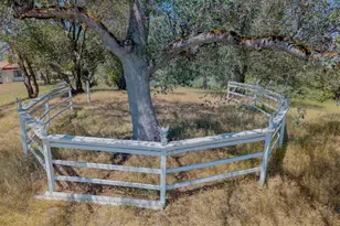 5912 Old Gulch Rd, San Andreas, CA 95249 - Photo 58