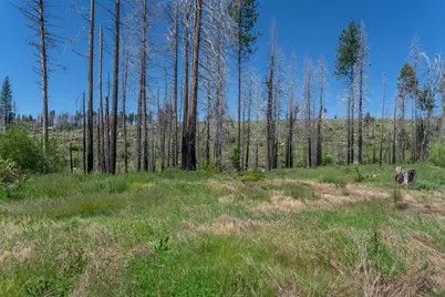 7425 Winding Way, Grizzly Flats, CA 95636 - Photo 10