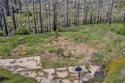 7425 Winding Way, Grizzly Flats, CA 95636 - Photo 4