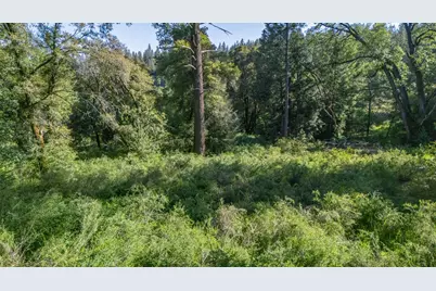 0 N Canyon Way Way, Colfax, CA 95713 - Photo 14