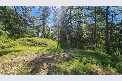 0 N Canyon Way Way, Colfax, CA 95713 - Photo 4