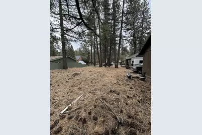 2495 Chris Avenue, South Lake Tahoe, CA 96150 - Photo 4