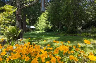 333 Clay St, Nevada City, CA 95959 - Photo 74