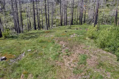 0 Winding Way Court, Grizzly Flats, CA 95636 - Photo 2