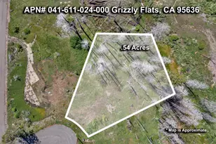 0 Winding Way Ct, Grizzly Flats, CA 95636 - Photo 1