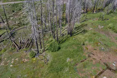0 Winding Way Court, Grizzly Flats, CA 95636 - Photo 10