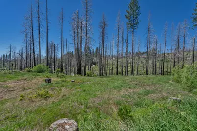 0 Winding Way Court, Grizzly Flats, CA 95636 - Photo 4
