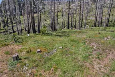 0 Winding Way Court, Grizzly Flats, CA 95636 - Photo 8