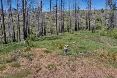 0 Winding Way Court, Grizzly Flats, CA 95636 - Photo 6