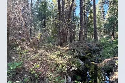 184 Creekside Drive, Camp Connell, CA 95223 - Photo 2
