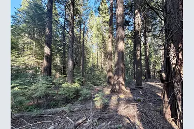 184 Creekside Drive, Camp Connell, CA 95223 - Photo 4