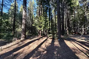 184 Creekside Dr, Camp Connell, CA 95223 - Photo 1