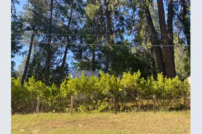 11314 Squirrel Creek Road, Grass Valley, CA 95945 - Photo 22