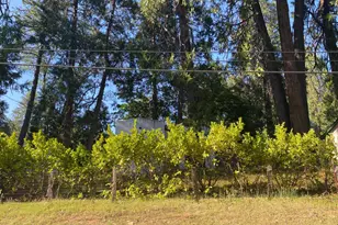 11314 Squirrel Creek Rd, Grass Valley, CA 95945 - Photo 22
