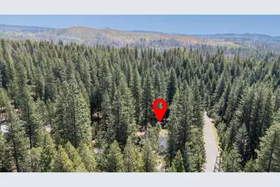 5315 Wildberry Drive, Grizzly Flats, CA 95636 - Photo 44