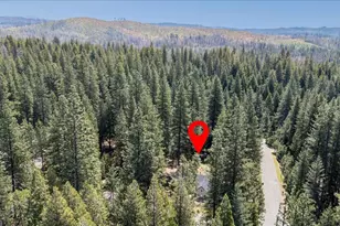 5315 Wildberry Dr, Grizzly Flats, CA 95636 - Photo 42