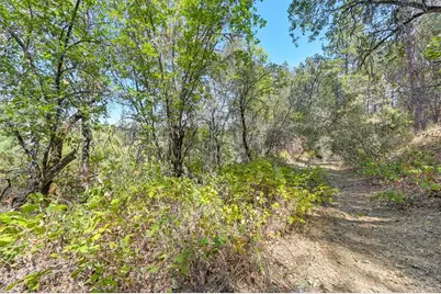 0 Browns Rd, Placerville, CA 95667 - Photo 16