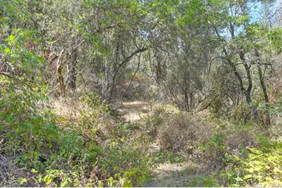 0 Browns Rd, Placerville, CA 95667 - Photo 22