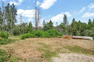 Ponderosa, Colfax, CA 95731 - Photo 32