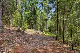 13604 Axle Ct, Grass Valley, CA 95945 - Photo 1