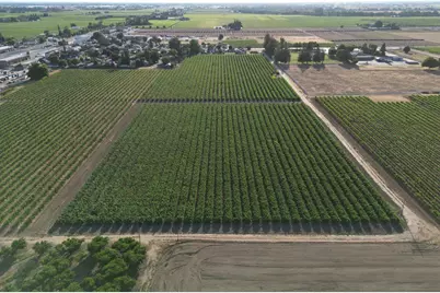 17490 N Bruella Road, Victor, CA 95253 - Photo 1