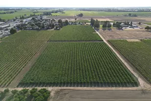 17490 N Bruella Rd, Victor, CA 95253 - Photo 1