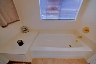 110 Loma Prieta Cir, Tracy, CA 95376 - Photo 50