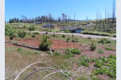 7130 Winding Way, Grizzly Flats, CA 95636 - Photo 18