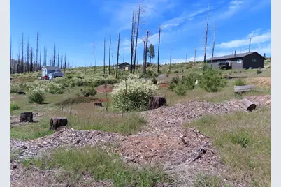 7130 Winding Way, Grizzly Flats, CA 95636 - Photo 6