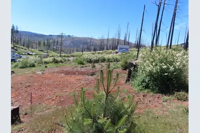 7130 Winding Way, Grizzly Flats, CA 95636 - Photo 1