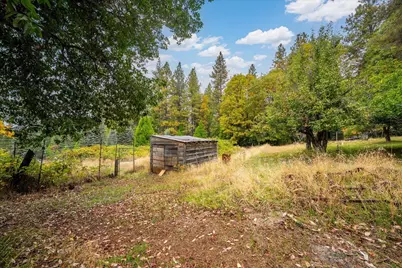 9501 Grizzly Flat Road, Grizzly Flats, CA 95636 - Photo 74