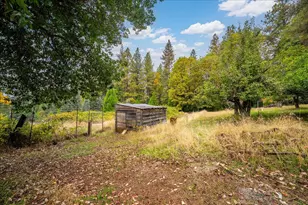 9501 Grizzly Flat Rd, Grizzly Flats, CA 95636 - Photo 74