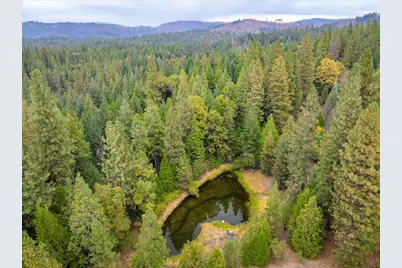 9501 Grizzly Flat Road, Grizzly Flats, CA 95636 - Photo 40