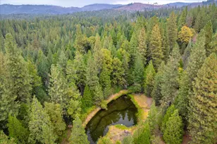 9501 Grizzly Flat Rd, Grizzly Flats, CA 95636 - Photo 40