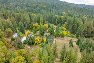 9501 Grizzly Flat Rd, Grizzly Flats, CA 95636 - Photo 42