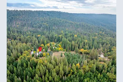 9501 Grizzly Flat Road, Grizzly Flats, CA 95636 - Photo 52