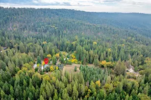 9501 Grizzly Flat Rd, Grizzly Flats, CA 95636 - Photo 52