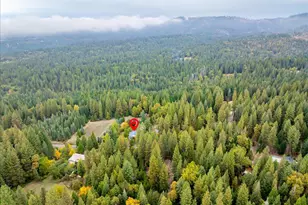 9501 Grizzly Flat Rd, Grizzly Flats, CA 95636 - Photo 58