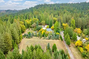 9501 Grizzly Flat Rd, Grizzly Flats, CA 95636 - Photo 46