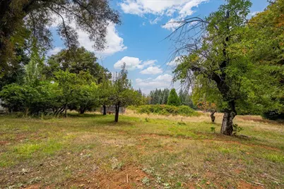 9501 Grizzly Flat Road, Grizzly Flats, CA 95636 - Photo 72