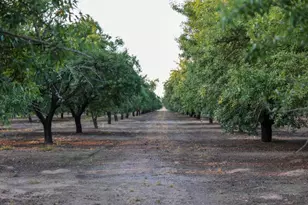 2591 Giannini Rd, Atwater, CA 95301 - Photo 62