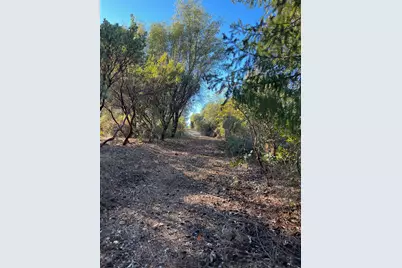 15375 Cliff Road, Nevada City, CA 95959 - Photo 6