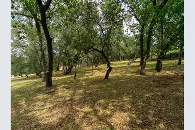 4245 Raphael Drive, El Dorado Hills, CA 95762 - Photo 32