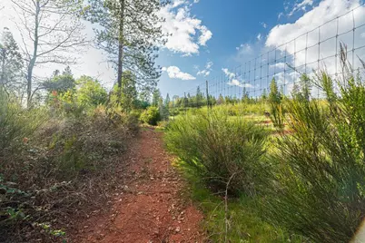 10571 Sebastopol Road, North San Juan, CA 95960 - Photo 24