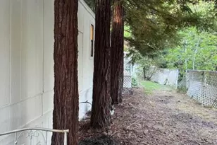 13980 Golden Star Rd, Grass Valley, CA 95949 - Photo 12