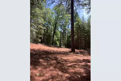 5040 Butterfield Stage Road, Georgetown, CA 95634 - Photo 16