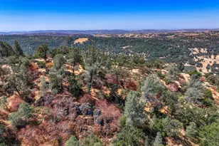 1244 Stallion Way, Angels Camp, CA 95222 - Photo 16